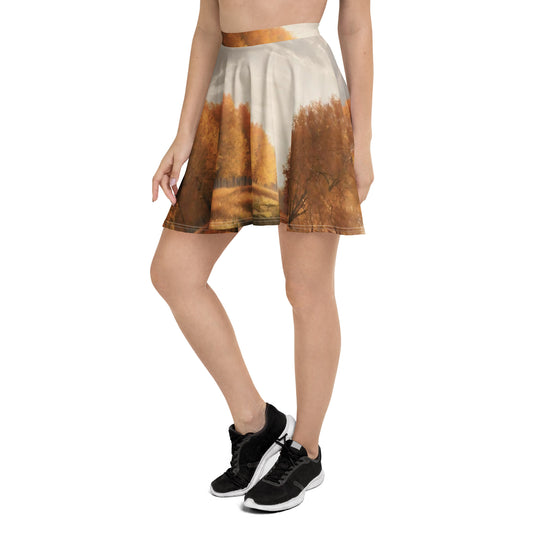 Skater Skirt - WhatUWant2Buy
