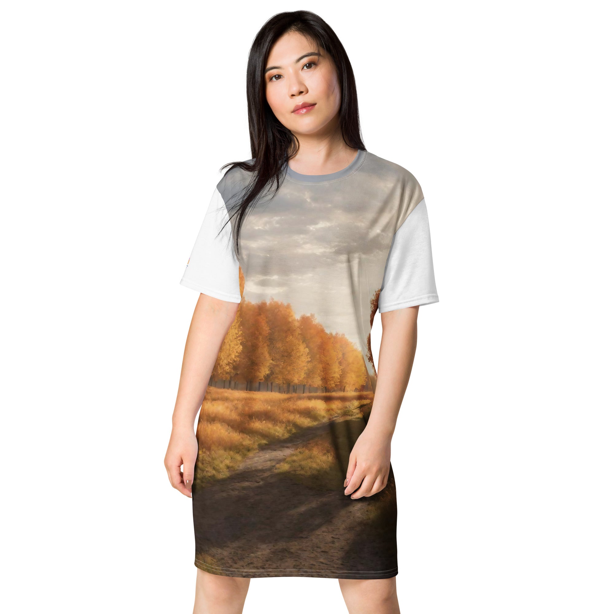 T-shirt dress - WhatUWant2Buy