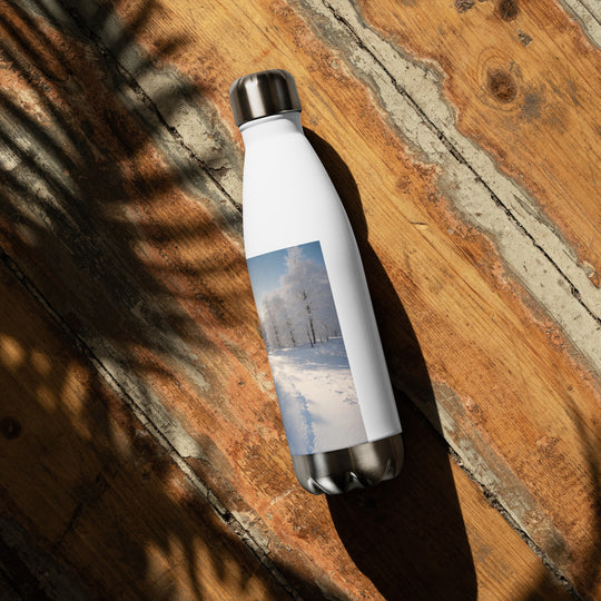 Stainless steel water bottle - WhatUWant2Buy