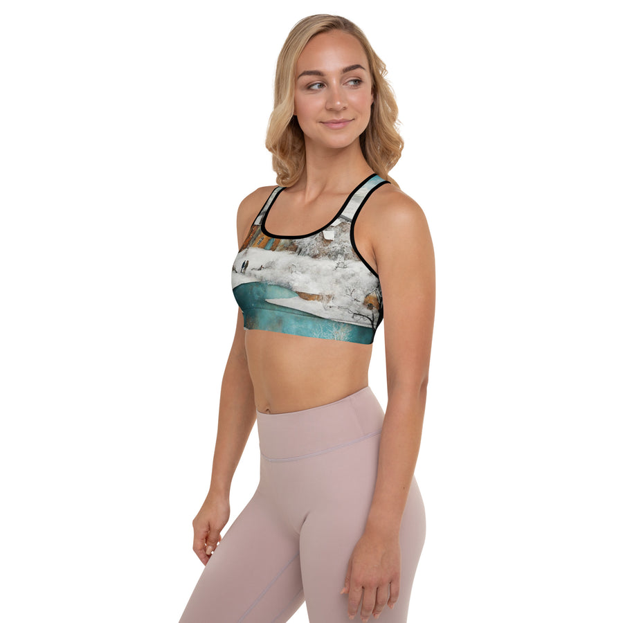 Padded Sports Bra - WhatUWant2Buy