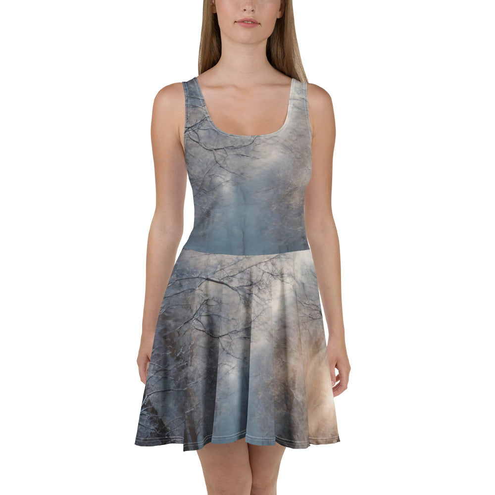 Skater Dress - WhatUWant2Buy