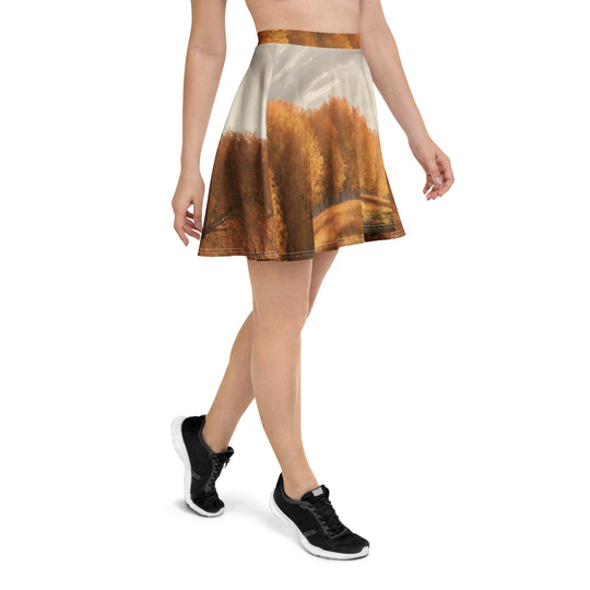 Skater Skirt - WhatUWant2Buy