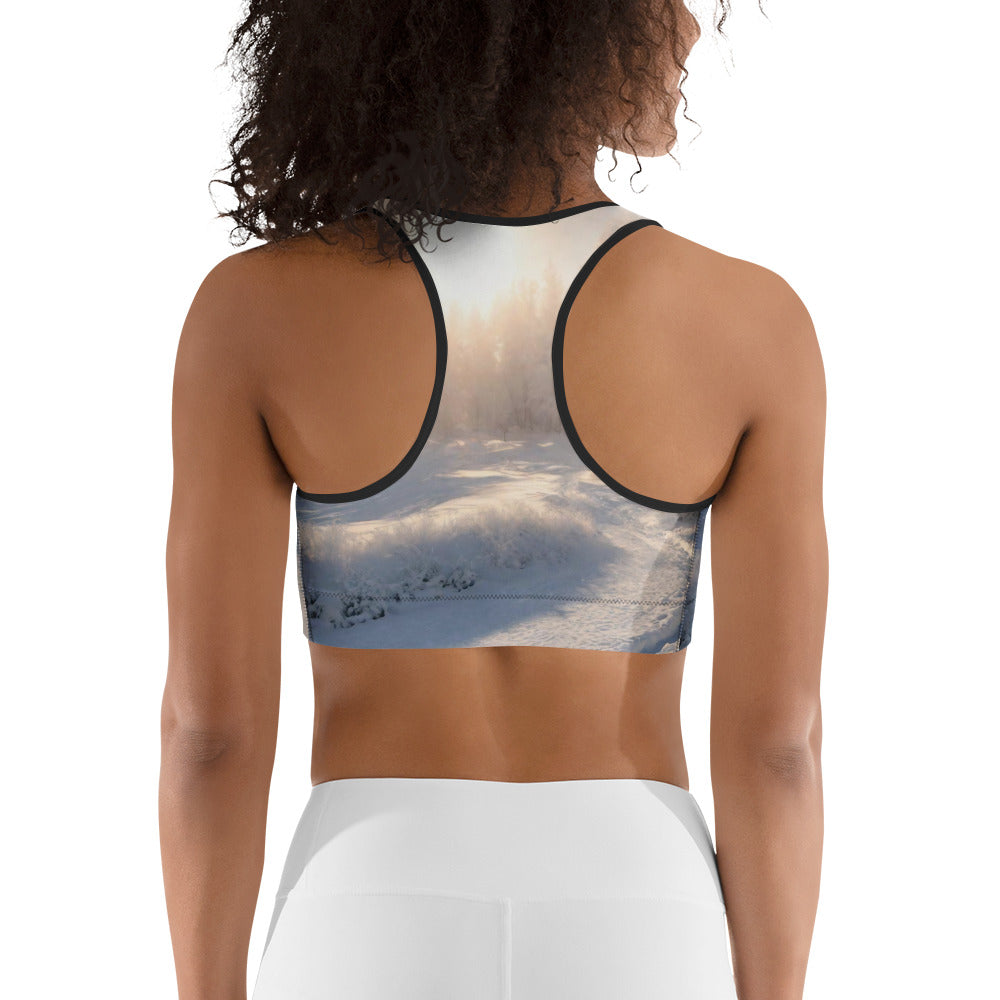 Sports bra - WhatUWant2Buy