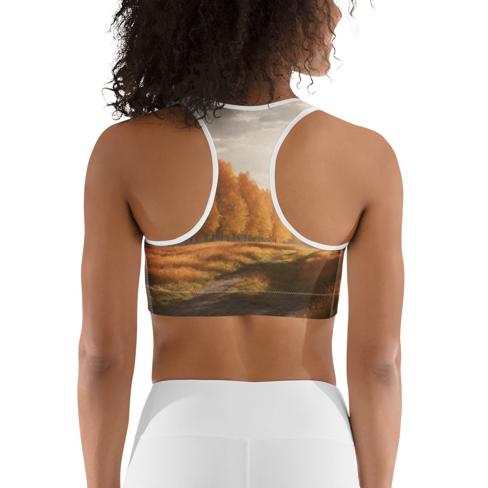 Sports bra - WhatUWant2Buy