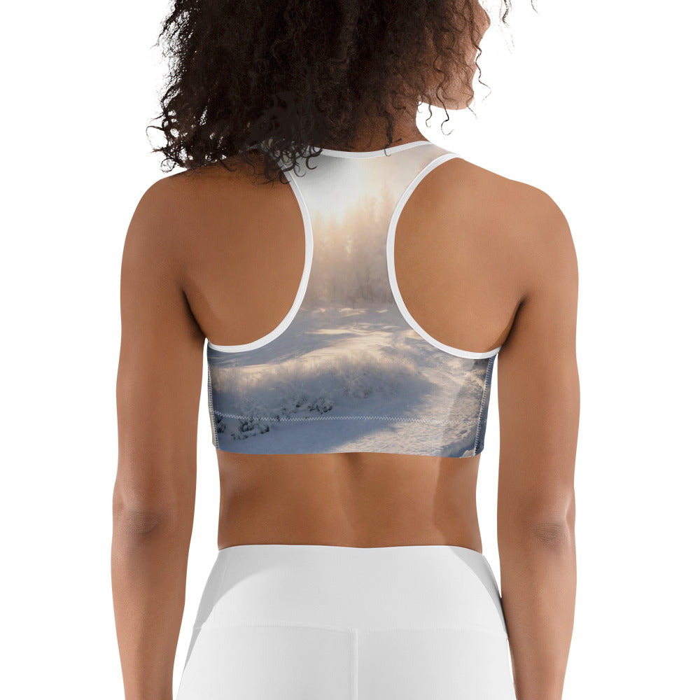 Sports bra - WhatUWant2Buy