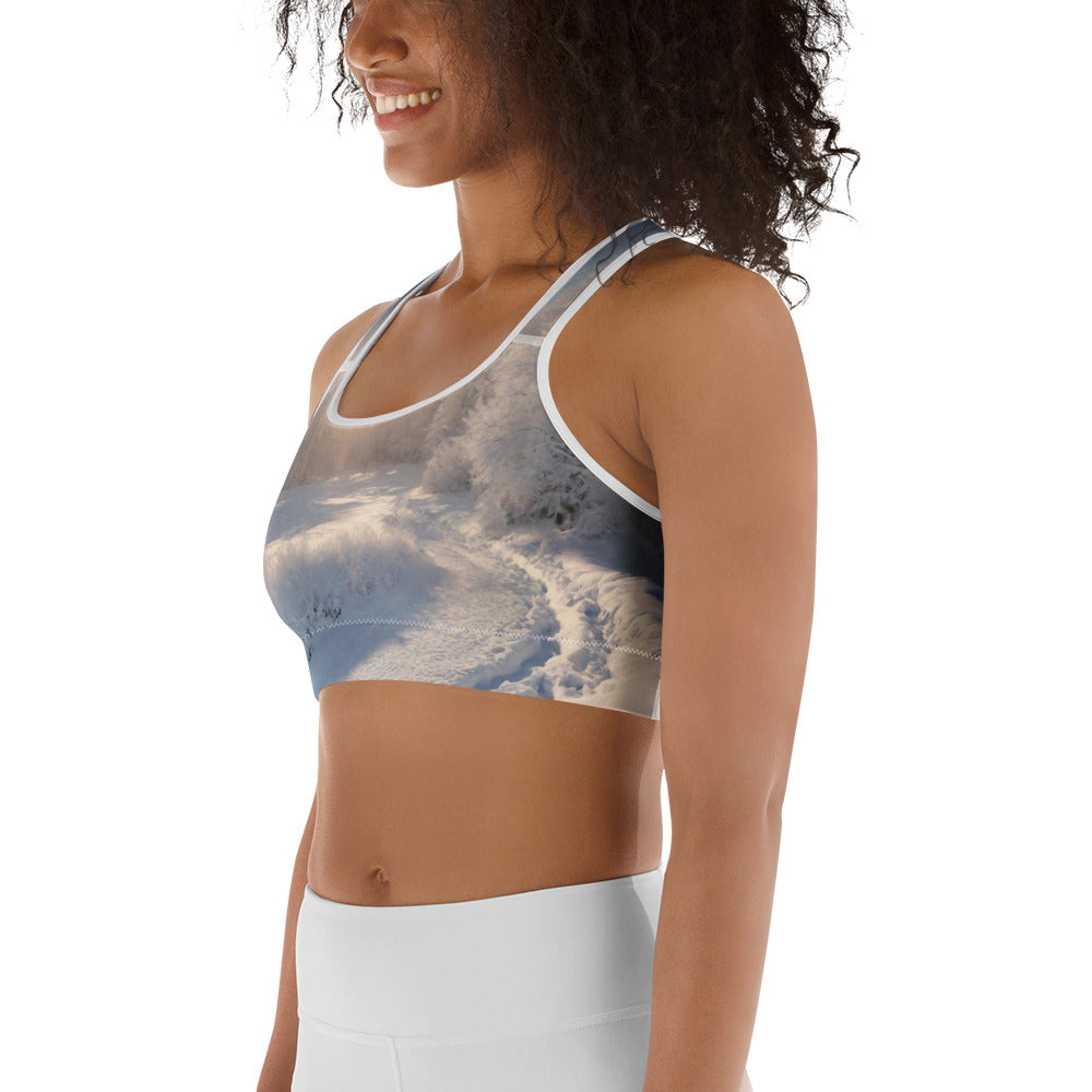 Sports bra - WhatUWant2Buy