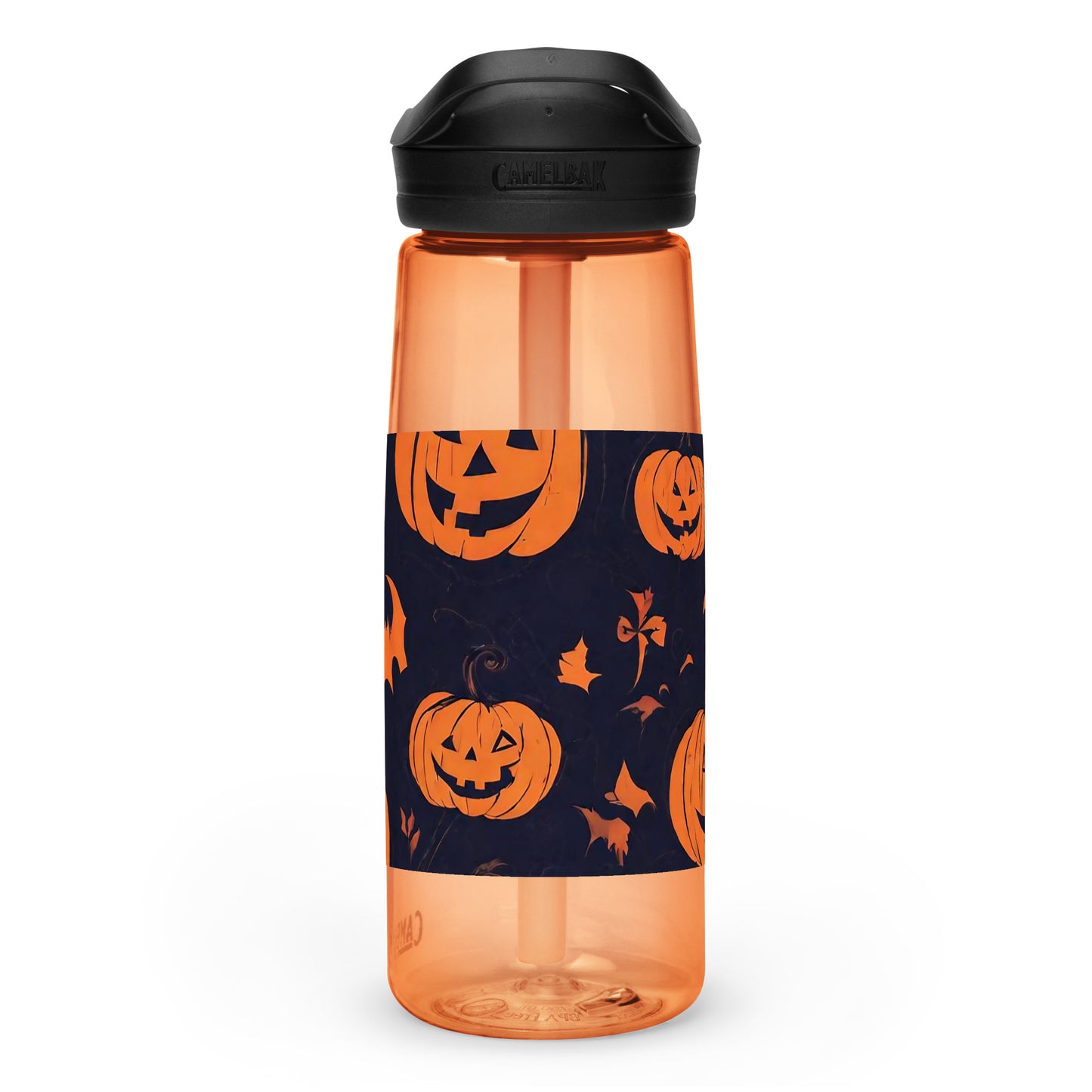 Sports water bottle