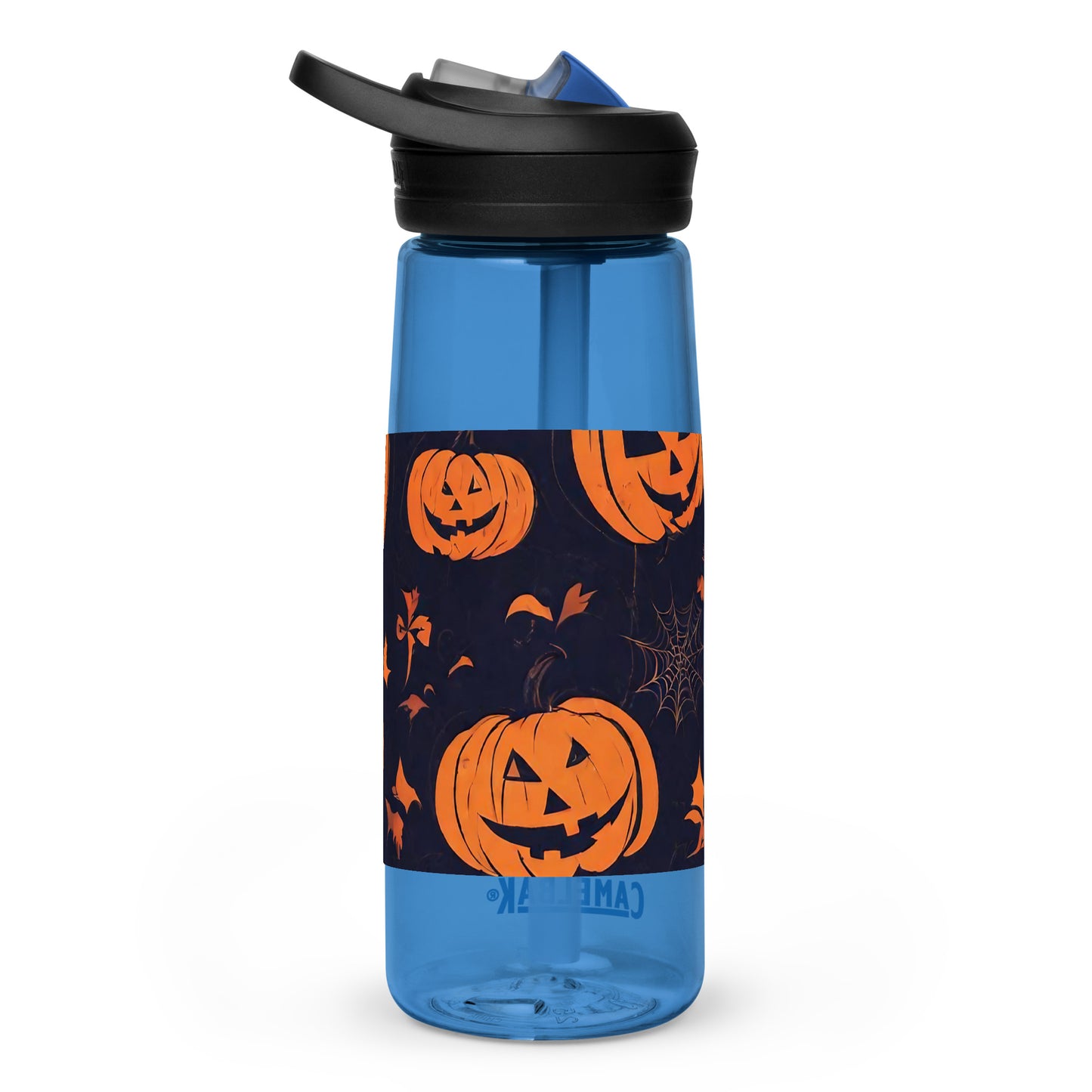 Sports water bottle