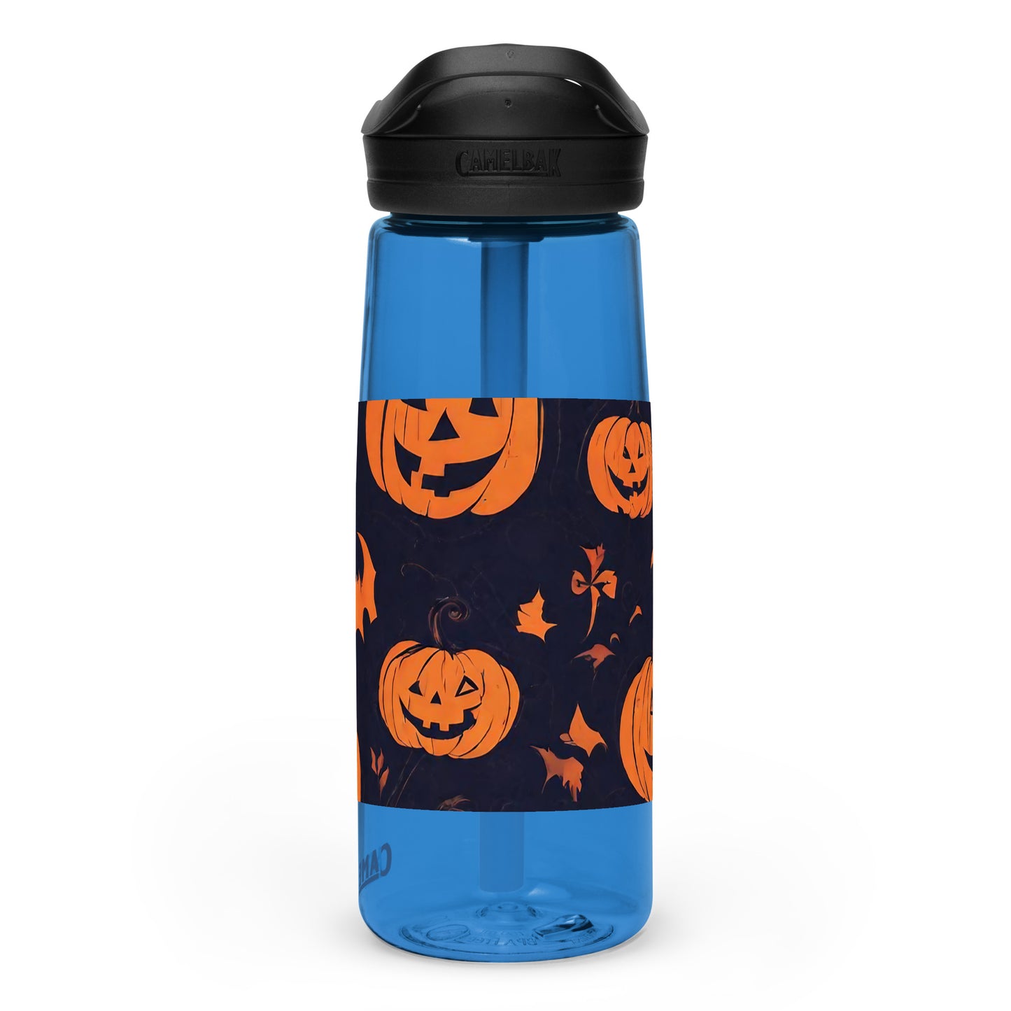 Sports water bottle