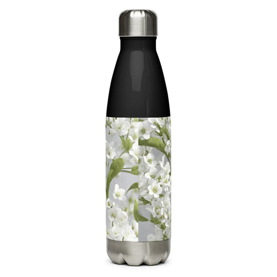 Stainless steel water bottle - WhatUWant2Buy