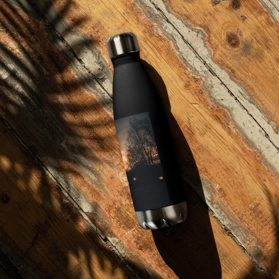 Stainless steel water bottle - WhatUWant2Buy