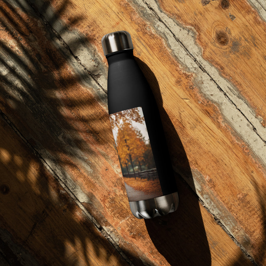 Stainless steel water bottle - WhatUWant2Buy