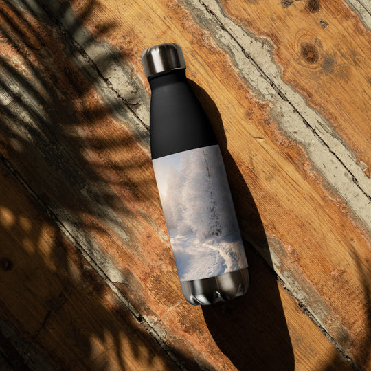 Stainless steel water bottle - WhatUWant2Buy
