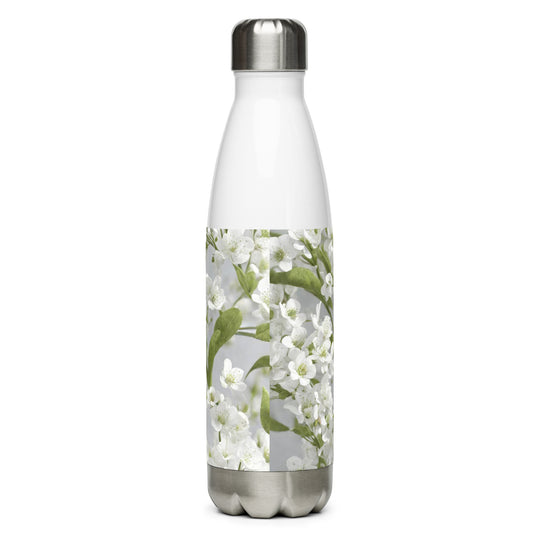 Stainless steel water bottle - WhatUWant2Buy