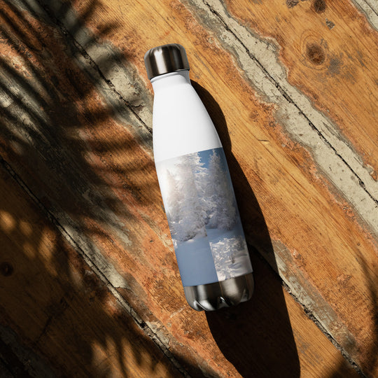 Stainless steel water bottle - WhatUWant2Buy