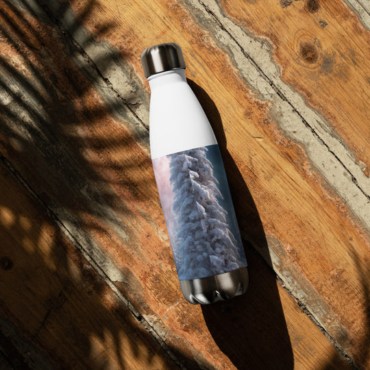 Stainless steel water bottle - WhatUWant2Buy