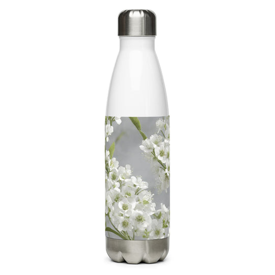 Stainless steel water bottle - WhatUWant2Buy