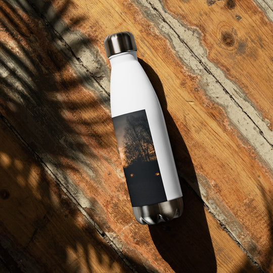 Stainless steel water bottle - WhatUWant2Buy
