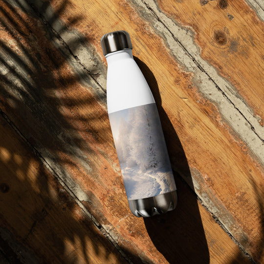 Stainless steel water bottle - WhatUWant2Buy