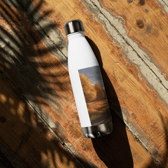 Stainless steel water bottle - WhatUWant2Buy