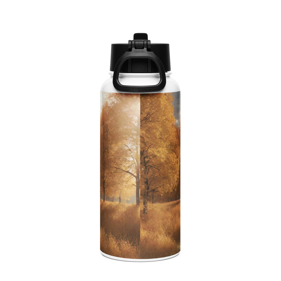 Stainless steel water bottle with a straw lid - WhatUWant2Buy