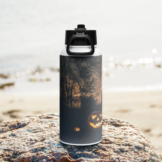 Stainless steel water bottle with a straw lid - WhatUWant2Buy