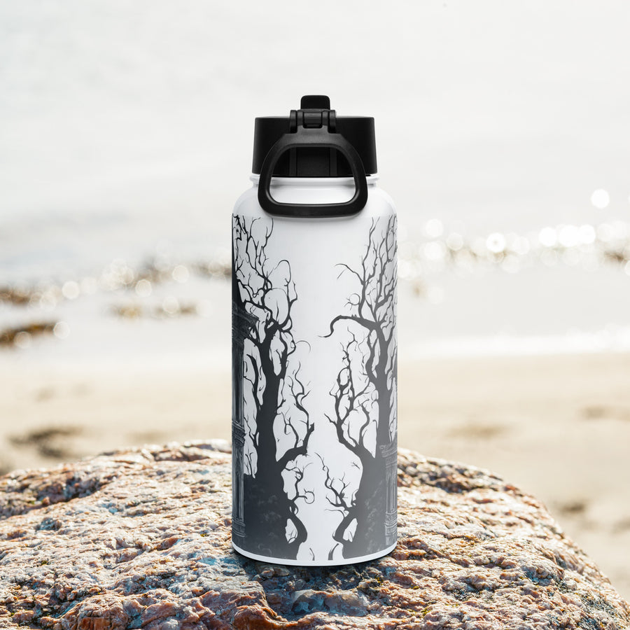 Stainless steel water bottle with a straw lid - WhatUWant2Buy