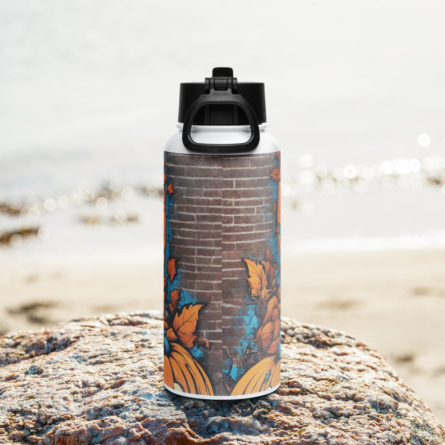 Stainless steel water bottle with a straw lid - WhatUWant2Buy
