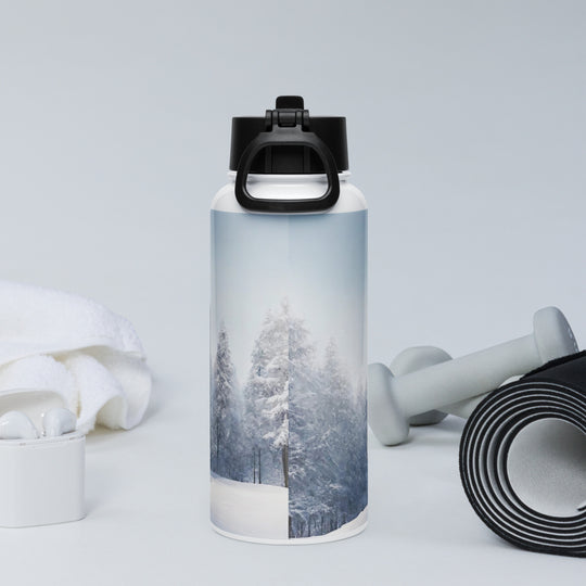 Stainless steel water bottle with a straw lid - WhatUWant2Buy