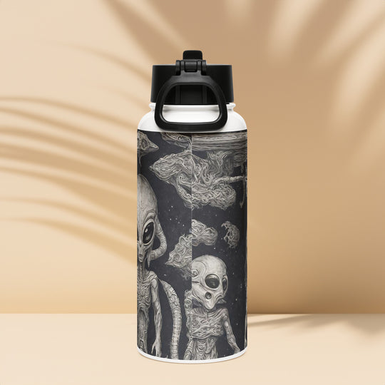 Stainless steel water bottle with a straw lid - WhatUWant2Buy