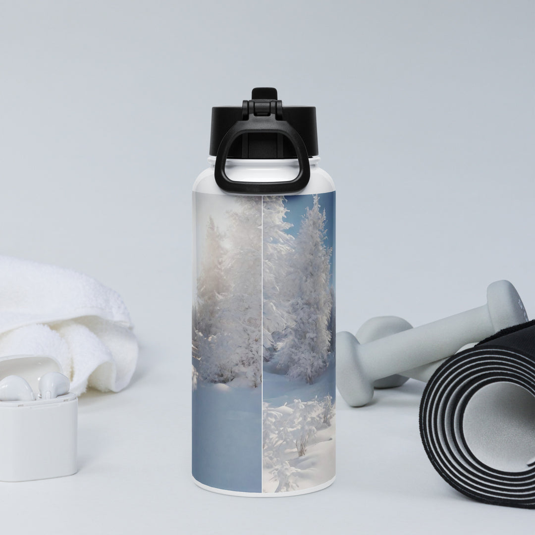 Stainless steel water bottle with a straw lid - WhatUWant2Buy