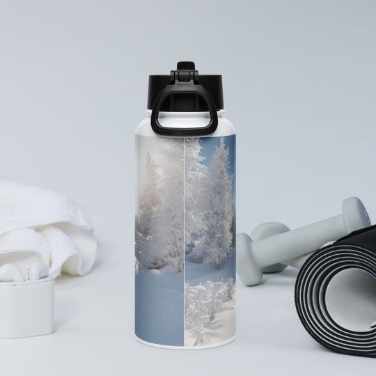 Stainless steel water bottle with a straw lid - WhatUWant2Buy