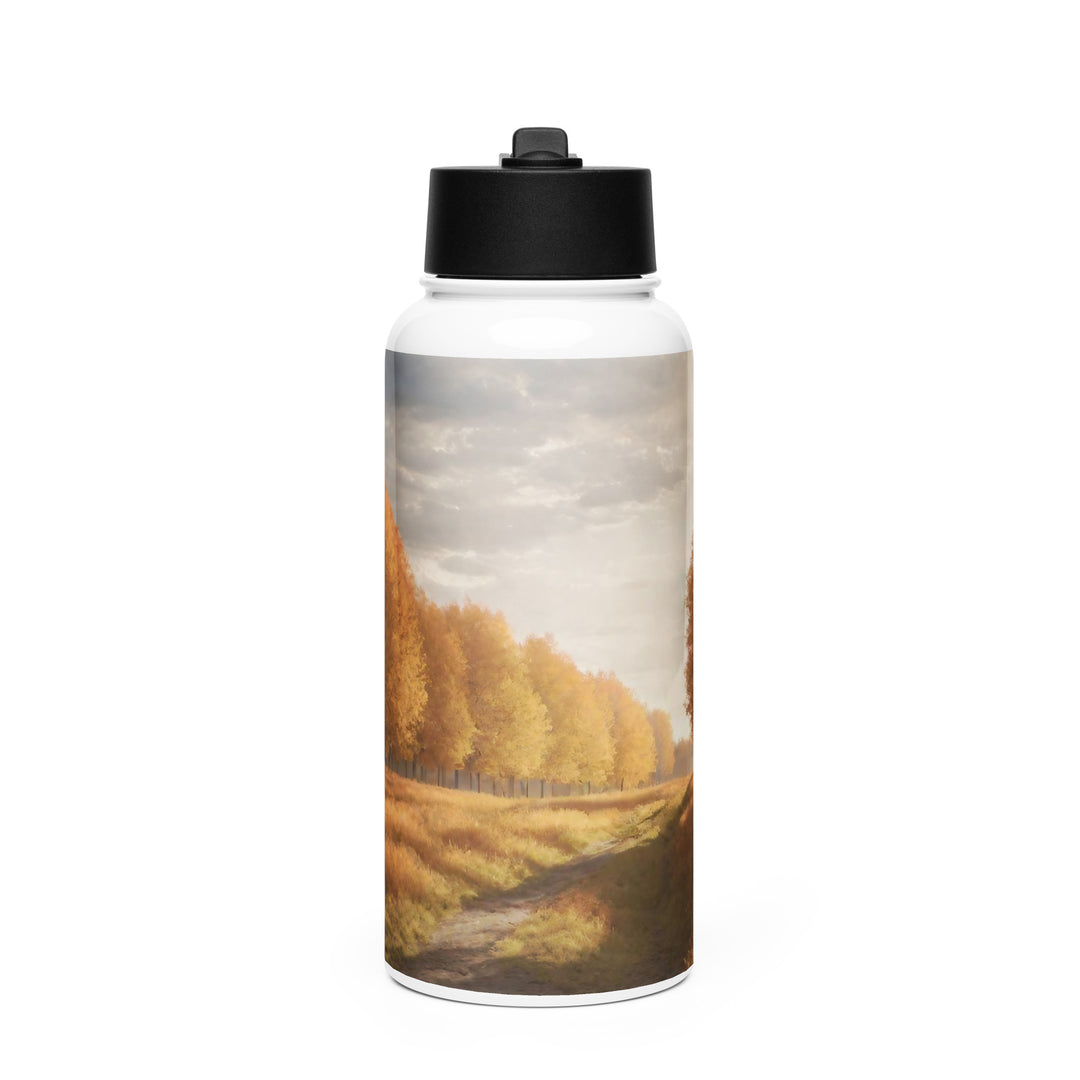 Stainless steel water bottle with a straw lid - WhatUWant2Buy