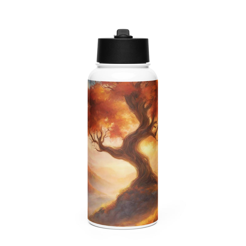 Stainless steel water bottle with a straw lid - WhatUWant2Buy