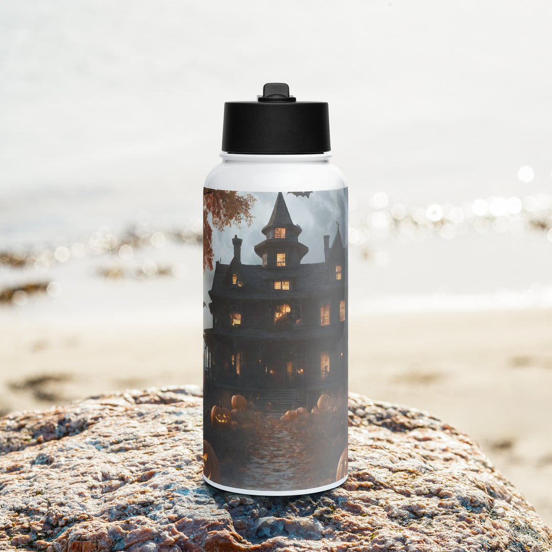 Stainless steel water bottle with a straw lid - WhatUWant2Buy