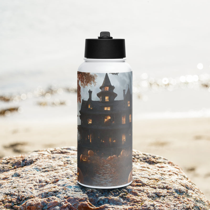 Stainless steel water bottle with a straw lid - WhatUWant2Buy