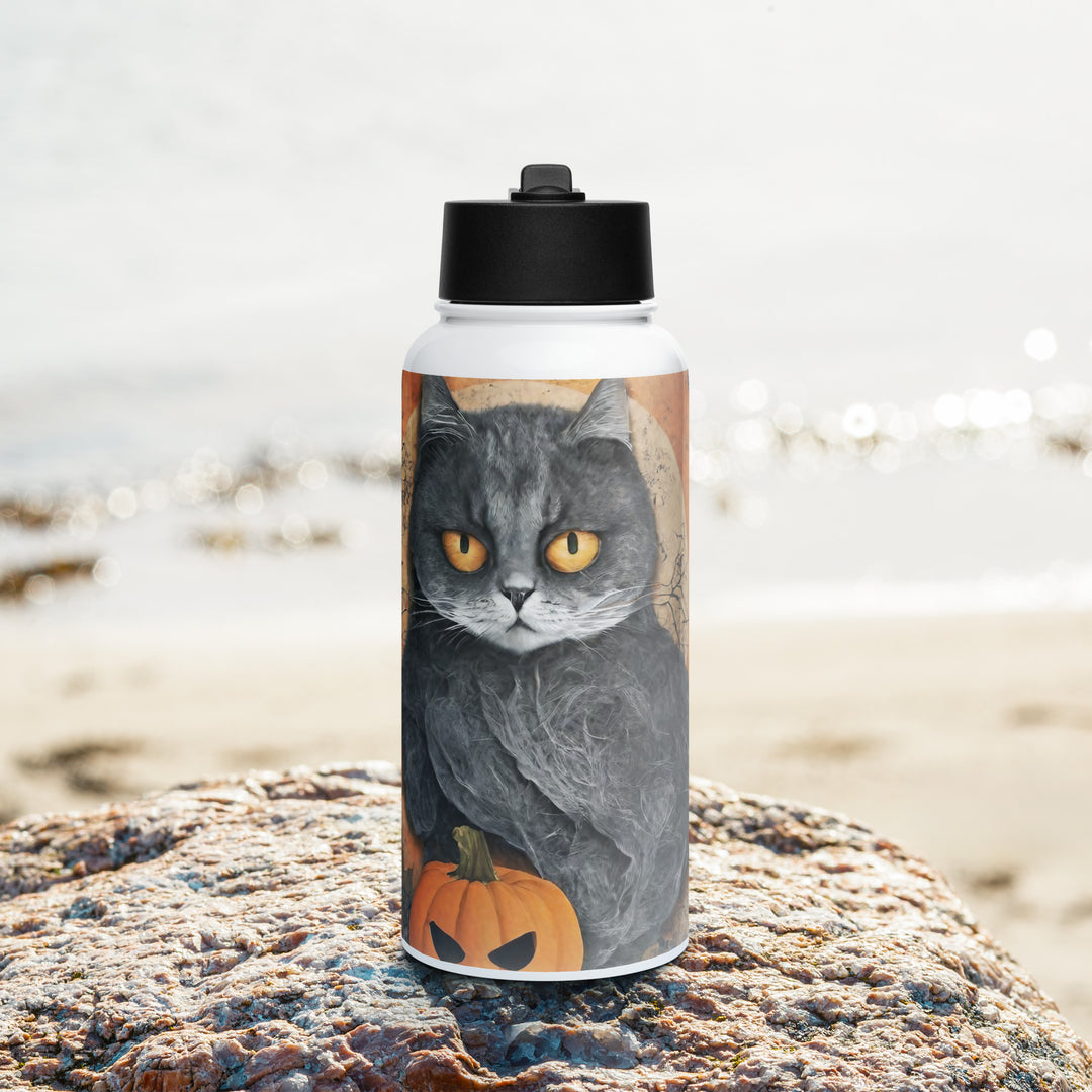 Stainless steel water bottle with a straw lid - WhatUWant2Buy