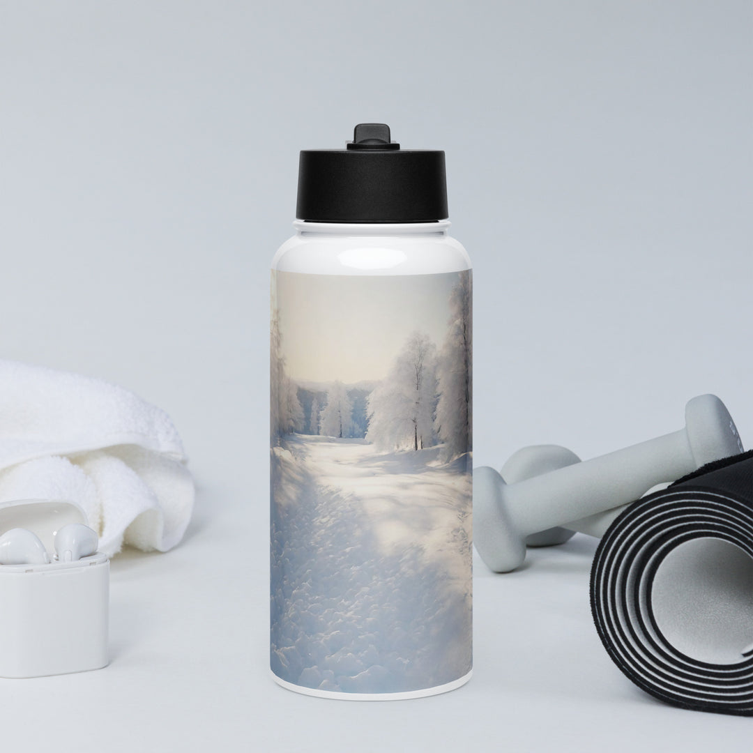 Stainless steel water bottle with a straw lid - WhatUWant2Buy