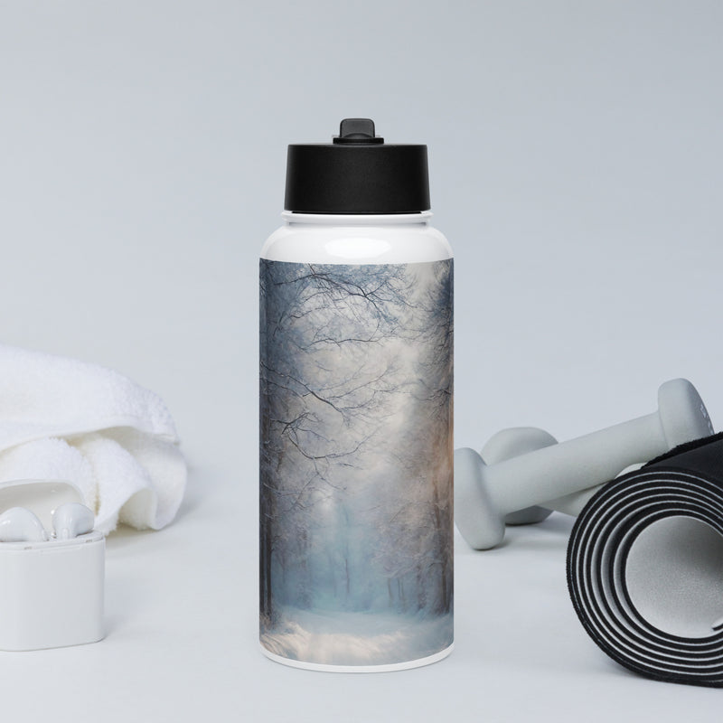 Stainless steel water bottle with a straw lid - WhatUWant2Buy
