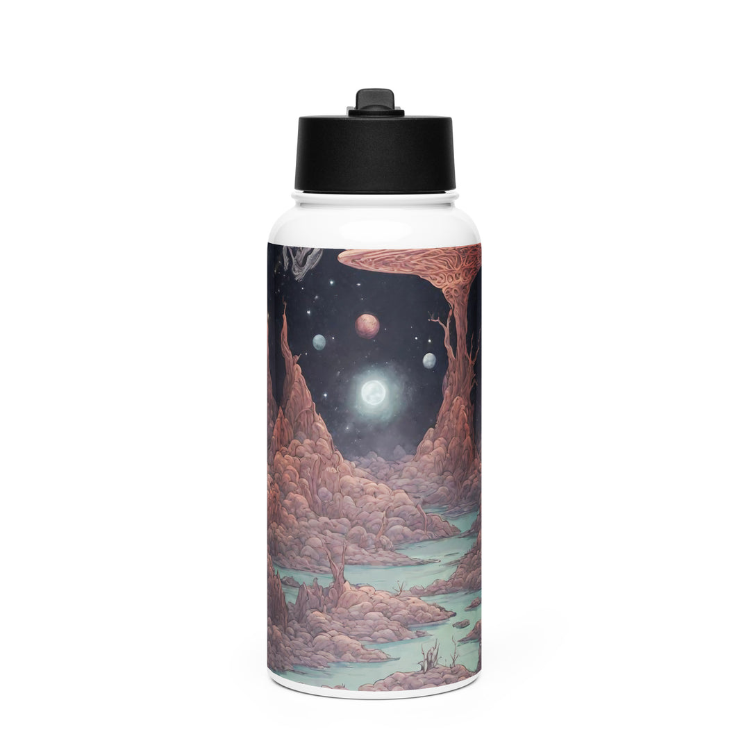 Stainless steel water bottle with a straw lid - WhatUWant2Buy