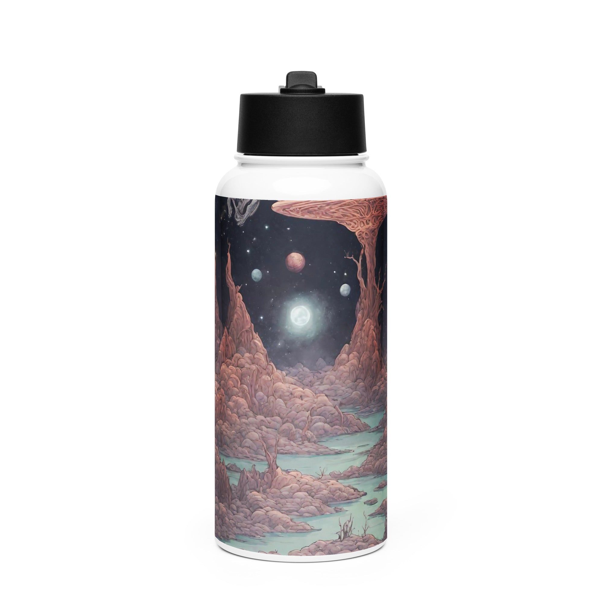 Stainless steel water bottle with a straw lid - WhatUWant2Buy