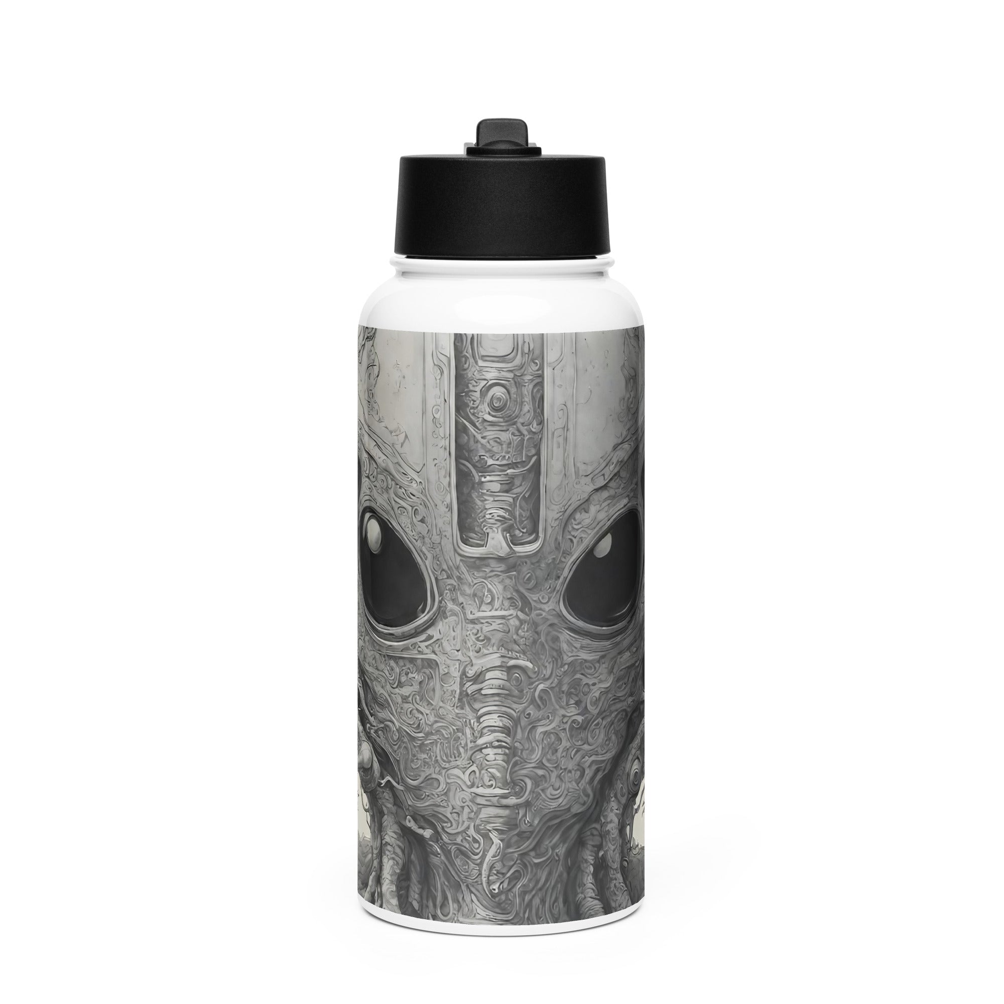 Stainless steel water bottle with a straw lid - WhatUWant2Buy