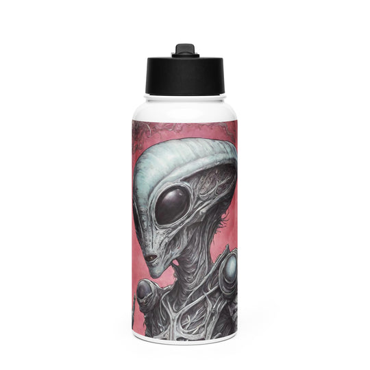 Stainless steel water bottle with a straw lid - WhatUWant2Buy