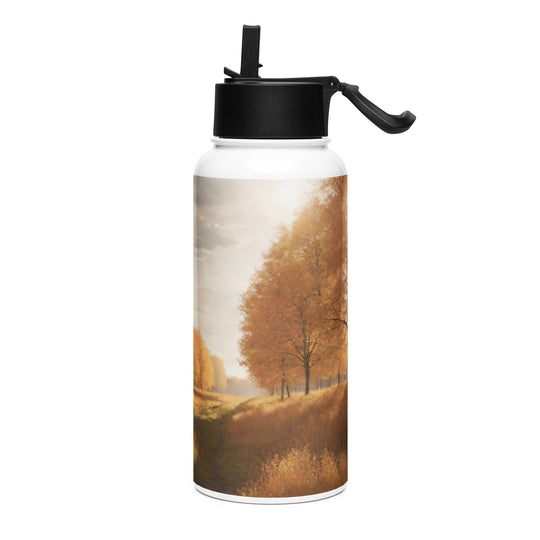 Stainless steel water bottle with a straw lid - WhatUWant2Buy