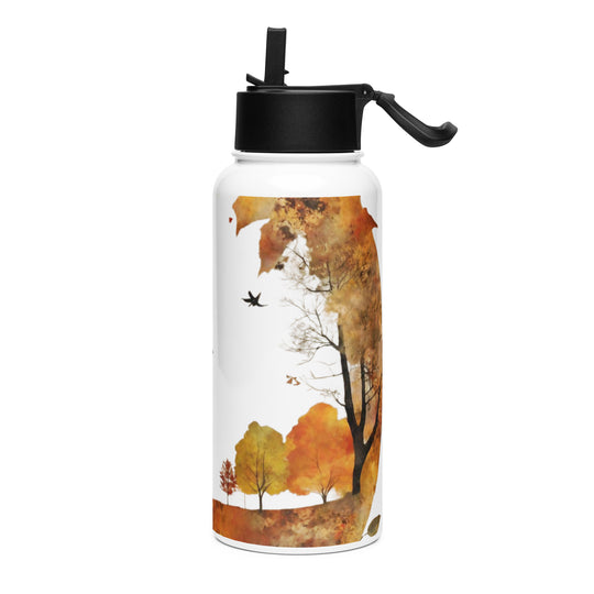 Stainless steel water bottle with a straw lid - WhatUWant2Buy