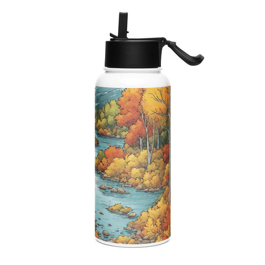 Stainless steel water bottle with a straw lid - WhatUWant2Buy