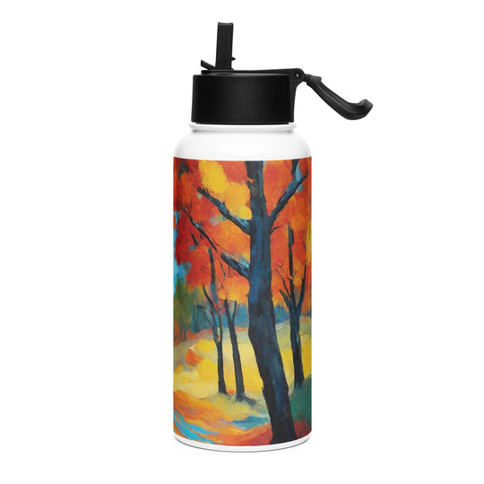 Stainless steel water bottle with a straw lid - WhatUWant2Buy