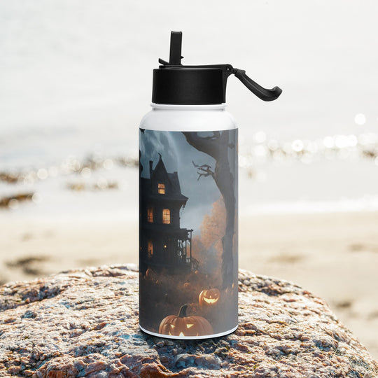 Stainless steel water bottle with a straw lid - WhatUWant2Buy