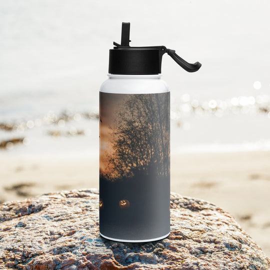 Stainless steel water bottle with a straw lid - WhatUWant2Buy