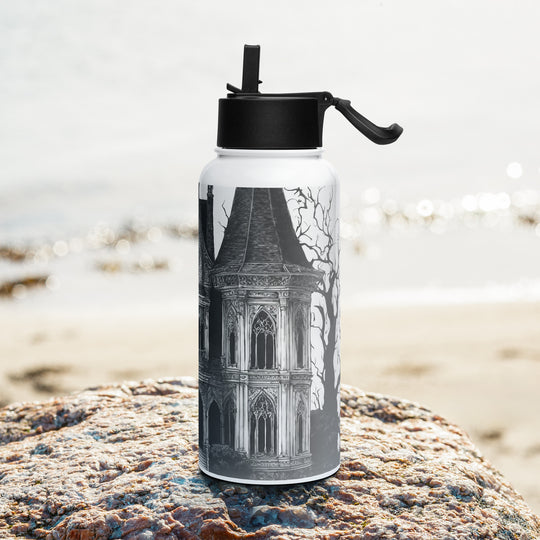 Stainless steel water bottle with a straw lid - WhatUWant2Buy